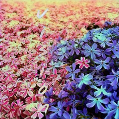 Vision ft Joee Giovanni