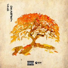 Remember (feat. Swerve)