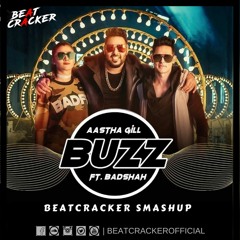 Buzz - Aastha Gill Feat.Badshah (Beatcracker Smashup)