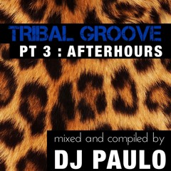 DJ PAULO - TRIBAL GROOVE Pt 3 (AFTERHOURS) Summer 2018