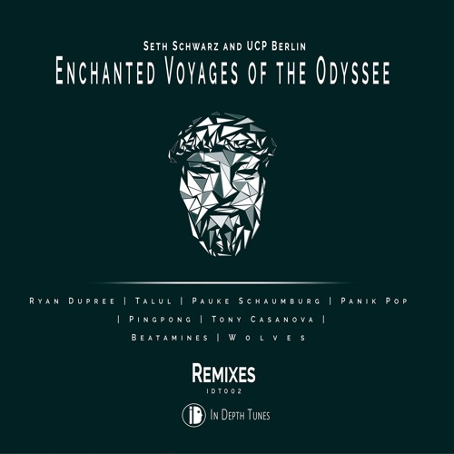 Seth Schwarz & UCP Berlin - The Fruit Of Forgetfulness (Ryan Dupree Remix)