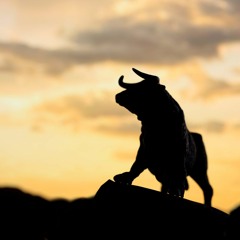 Bullish