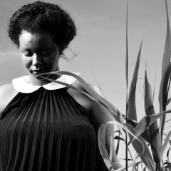 Mirel Wagner - The Well (Rottamies Remix)