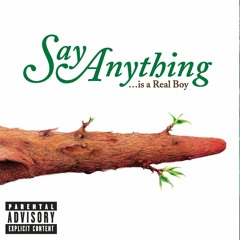 The Writhing South (Say Anything Live Acoustic Cover)