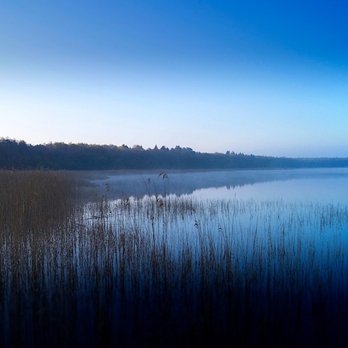 Atmo - Morgenstimmung / Dawn Chorus Priesterbäker See (Binaural Stereo)