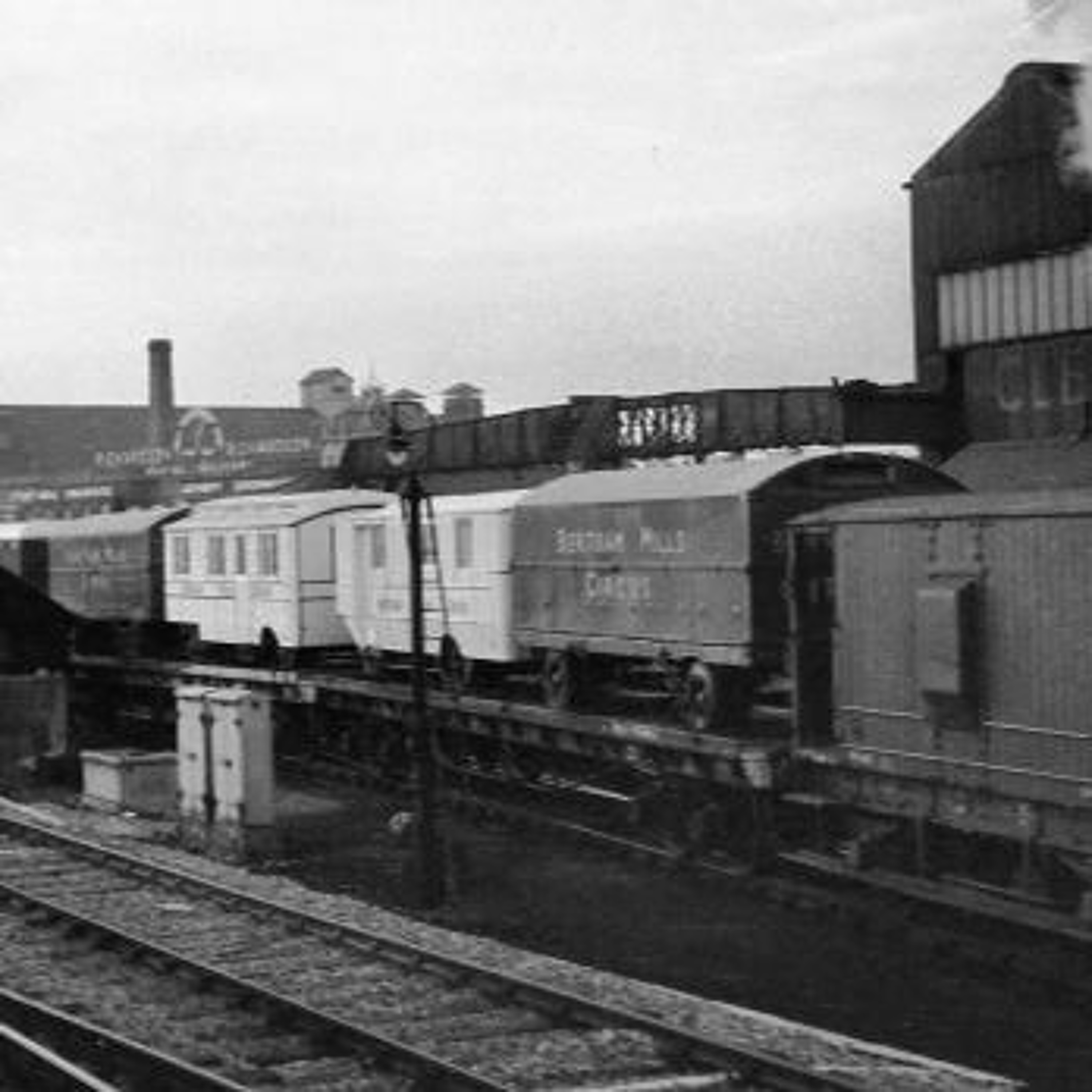 Special Trains - Circus, Pigeon & Operas episode artwork