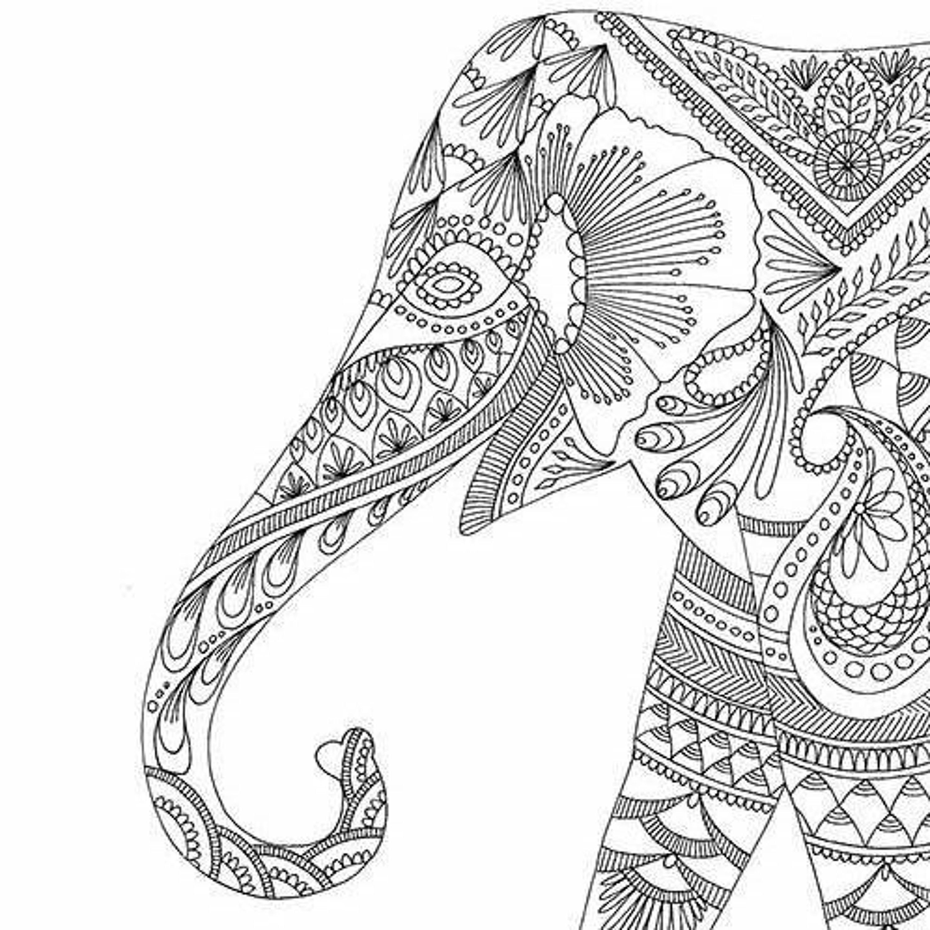 Ethno Frost Ethnic & Downtempo Ketch Up Moscow 21.04.18 episode artwork