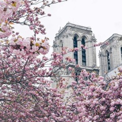 Major Lazer - Cold Water feat. Justin Bieber & MØ w/ Misogi cover & Smachs edit