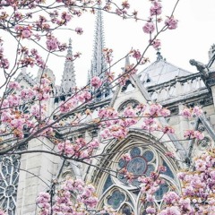 G Mills - Glendale La Roma [Smachs Exclusive Edit]