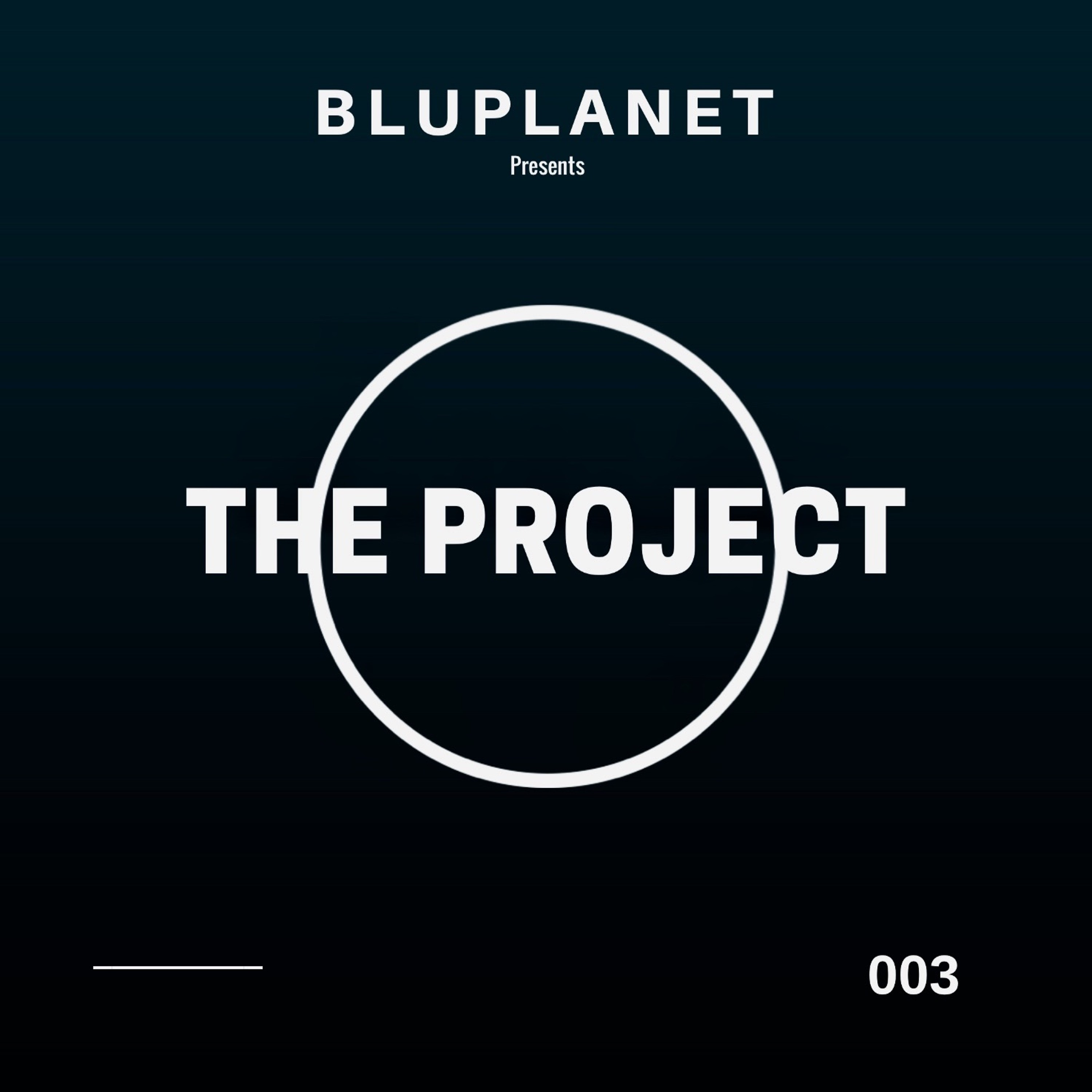 The Project Sessions