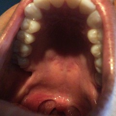 She Rock [Plies Redux]- Prod Goldensabres