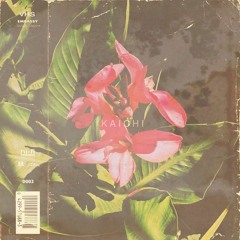 k a i c h i   生活