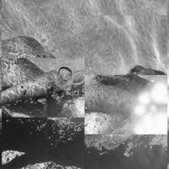 Lana del Rey - Born to Die (Kid Swim Remix)(Remastered)