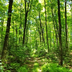 Breathe easy - some basic information