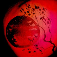 Cherries//Pomegranate