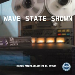 maxproaudio & OSO, Wave State Shown, Korg Wavestation
