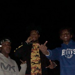 Wild Flow HOF P.J ft. Lonzo4k prod. Dam3