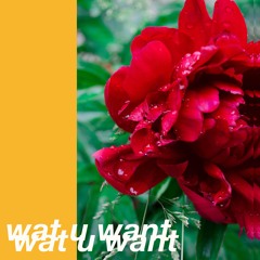 WAT U WANT