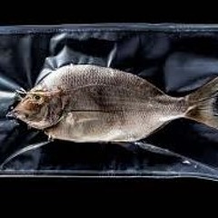 The Fish Mix Sous Vide