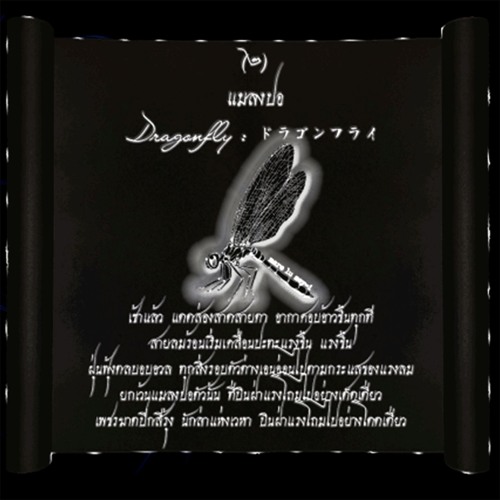 วิมุตติ : VIMUTTI : ヴィムッチ || (๒) แมลงปอ : DRAGONFLY : ドラゴンフライ ft. Adisak Poung Ok