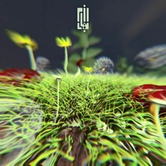 #3.Burst