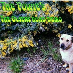 Campfire On The Moon