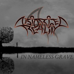 Distorted Reality - In Nameless Grave