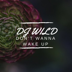 Don't Wanna Wake Up - DJ WILD ft NANOO