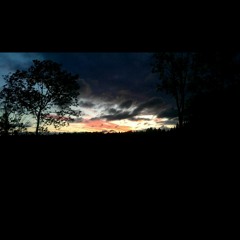 Like A Summer Breeze