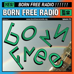 BORN FREE Radio 14 - Dj City