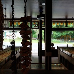 Ter Khan - The Pick Up Truck Diaries (Recorded at Preserved Instincts)