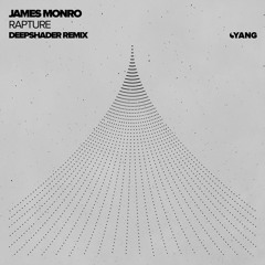 James Monro - Rapture (Deepshader Remix) [Yang]