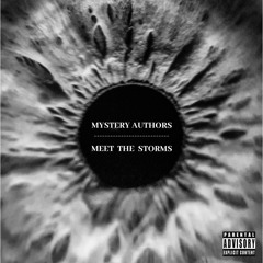 Mystery Authors - Meet The Storms (Prod. The Author)(*beat for sale*)