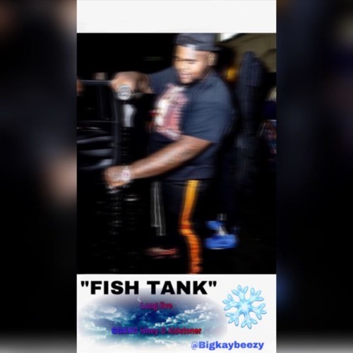 Fish Tank