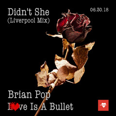 Didn't She (Liverpool Mix) Brian Pop
