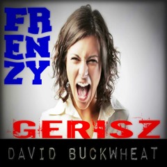 GeRisZ & David Buckwheat - Frenzy