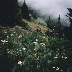 When nature resumes her lovelines // Podcast by Mike Tohr