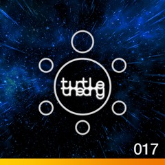 turtletheory - [017] - space