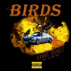 BIRDS (Prod. By 808 Nate)