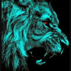 Talkin (Brvndo ft. BHP)