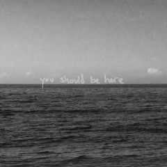 you should be here (prod. mt. marcy)