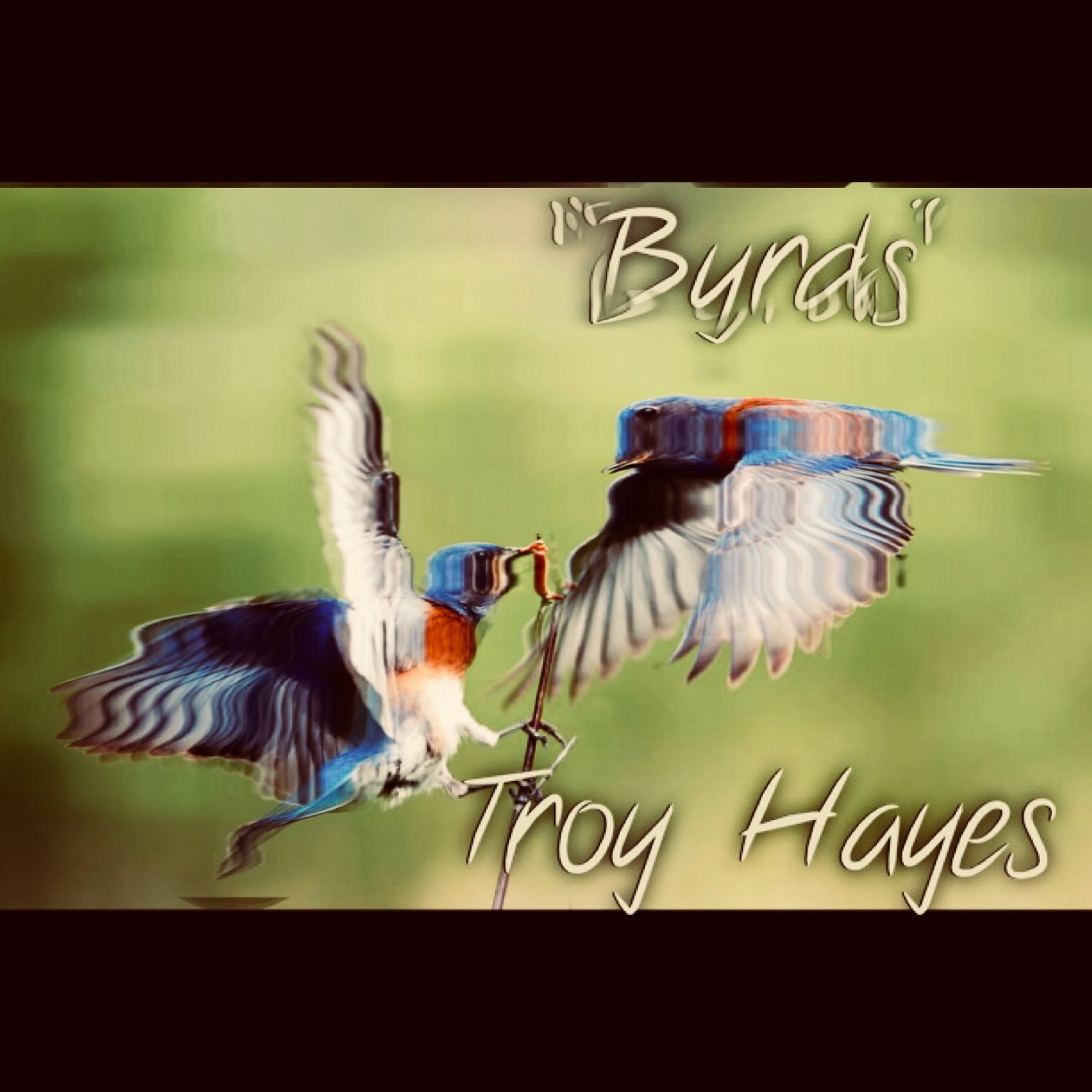 Troy Hayes