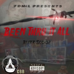 BlakkScoop  Been Thru It All