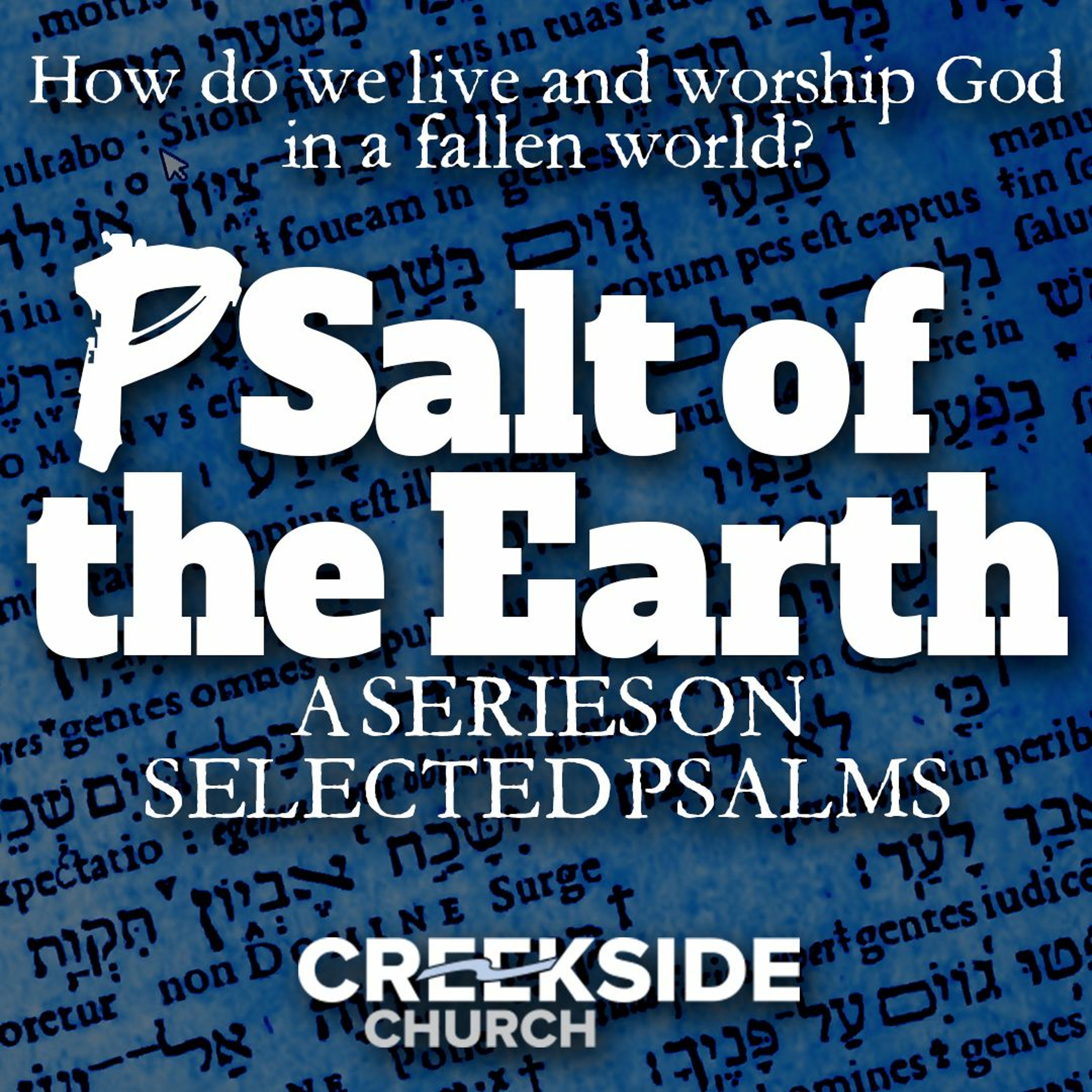 Psalm 107 - The Steadfast Love of God: How Probleme Lead to Praise (PSalt of the Earth) episode artwork