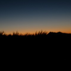 مهرپویا،خداحافظ