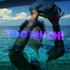 TOO MUCH! (prod. pnoonz)