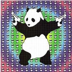 Panda in the Sex room - IBM RECORDS