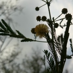 Kygo- Remind Me To Forget