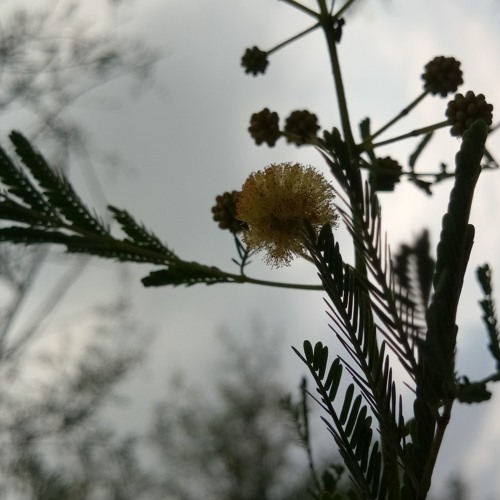 Kygo- Remind Me To Forget