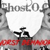 Worst Behavior Mp3